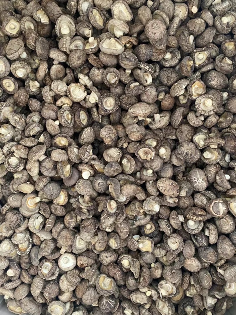 香菇产地直销批发厚肉冬菇西峡小香菇干货剪脚香信菇饭店餐饮