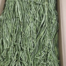贡菜