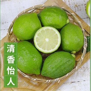 香水柠檬
