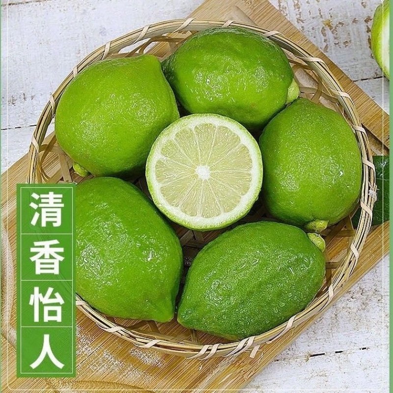 香水柠檬