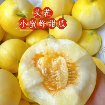 山东星甜二十甜瓜新鲜当季水果代收代发要货提前订一条龙服务
