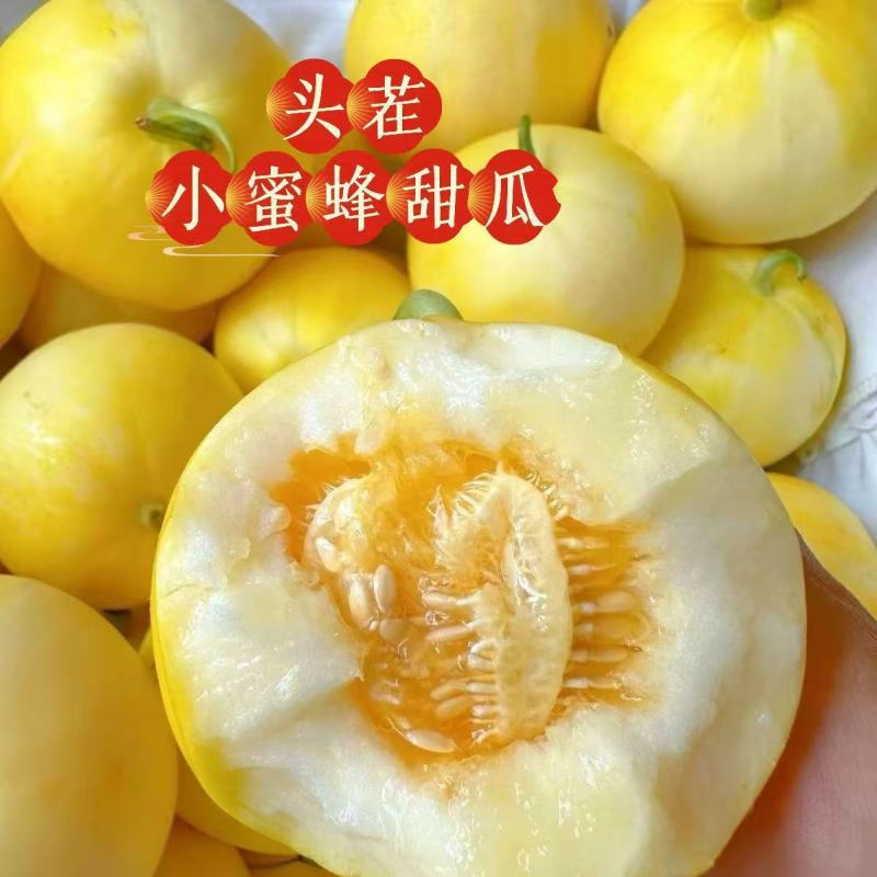 山东星甜二十甜瓜新鲜当季水果代收代发要货提前订一条龙服务