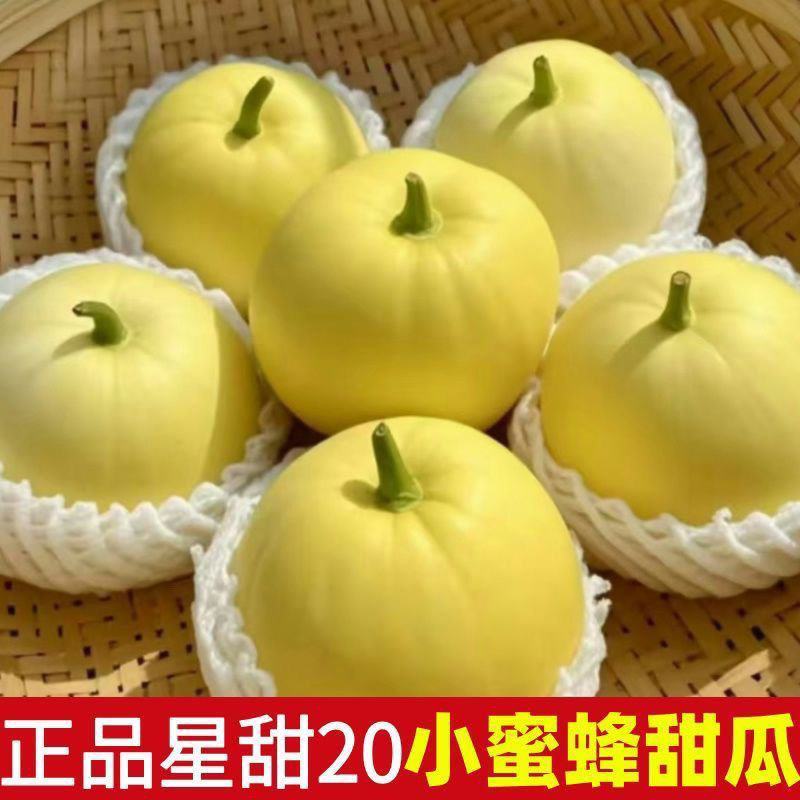 星甜20山东甜瓜费县星甜二十小密罐代收代发货可视频看货，