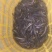 泥鳅，土泥鳅，青鳅，花鳅，野河泥鳅，精品通货7-15cm