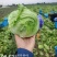 河北张家口地区5月底球生菜大量上市欢迎采购咨询