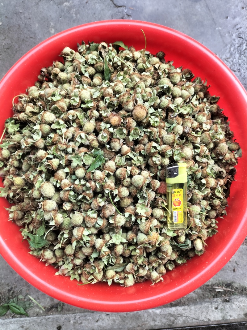 覆盆子干货