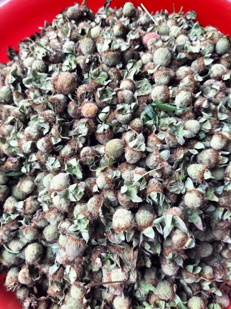 覆盆子干货