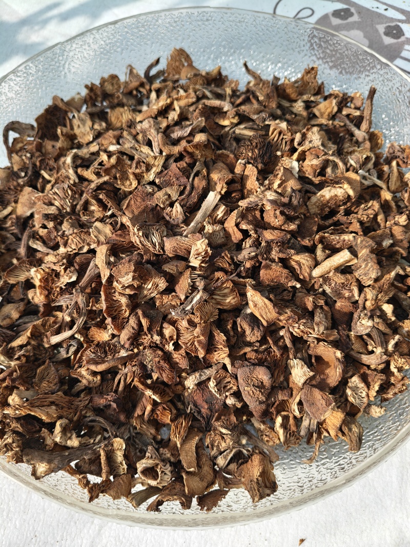 黑龙江特产榛蘑地头价出售