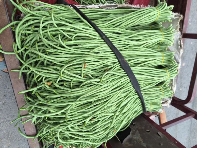 青条豆角精品豆角长豆角缸豆