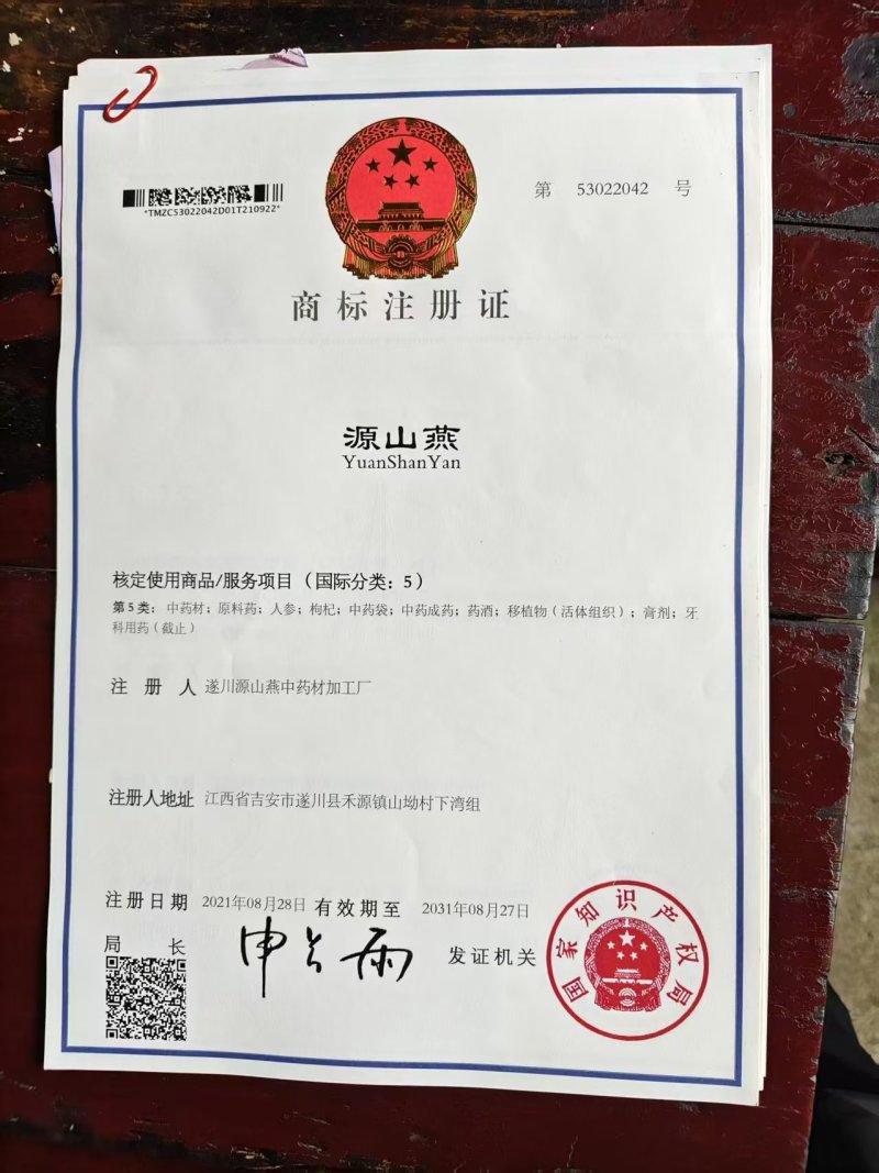 井冈山野生藤茶莓茶嫩叶散装批发产自井冈山市深山老林无农残