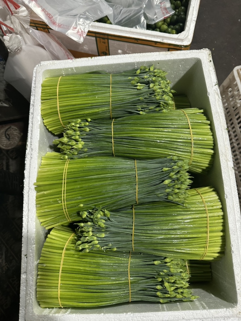 精品韭苔
