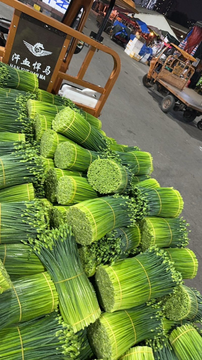 精品韭苔