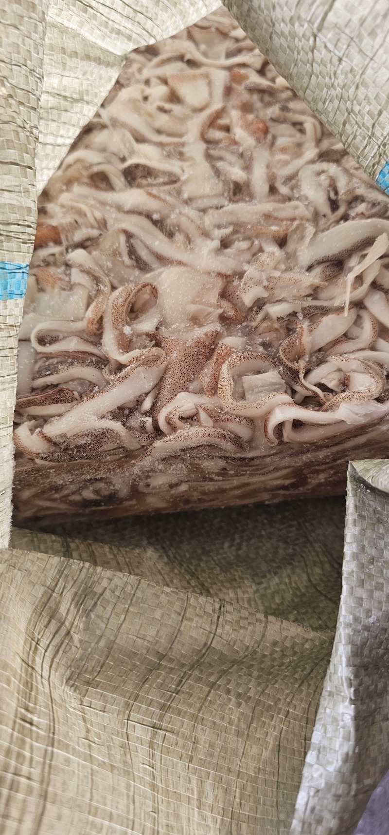 真鱿阿尤鱿鱼原汁口边，不泡水！品质保证支持视频看货