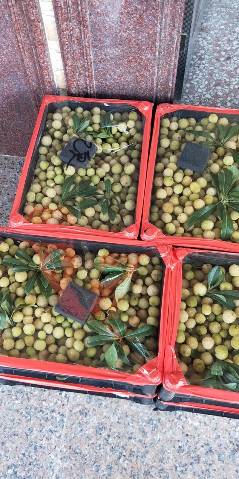 白杨梅金灶高山珍珠白梅现摘现发