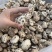 包邮白花菇3-4厘米小花菇2026新货