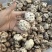 包邮白花菇3-4厘米小花菇2026新货
