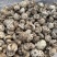 包邮白花菇3-4厘米小花菇2026新货