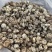 包邮白花菇3-4厘米小花菇2026新货