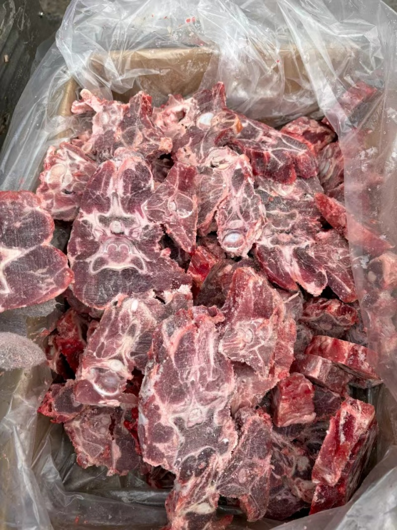 满肉羊蝎子