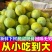 青脆李，（对接电商）包质量，包售后，日发3万，产地直发，