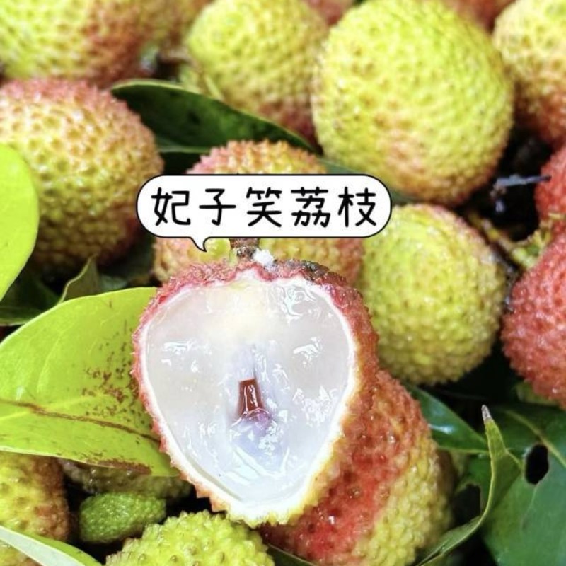 （一件代发）海南妃子笑