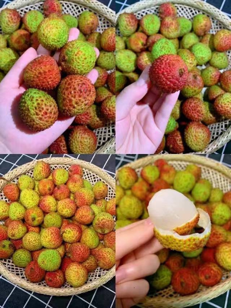 （一件代发）海南妃子笑