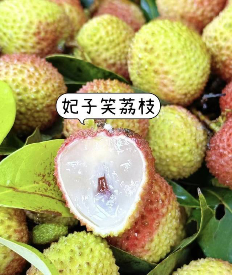 （一件代发）海南妃子笑