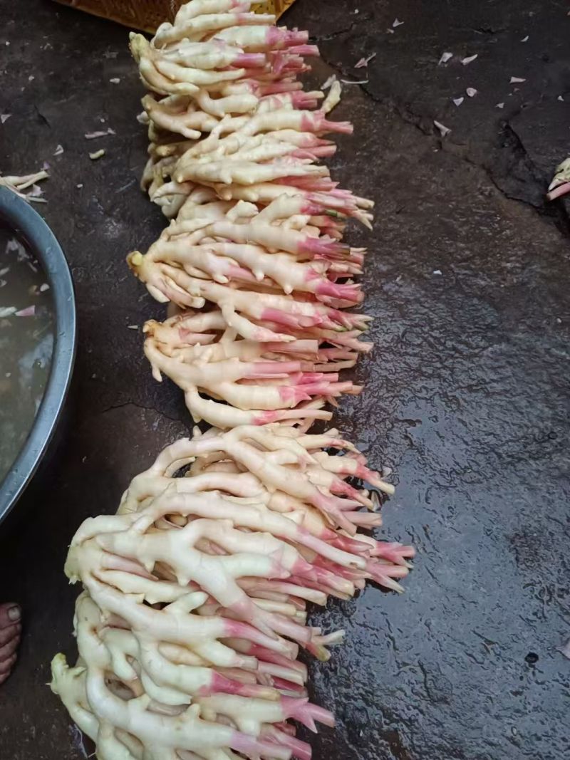 石塘子姜