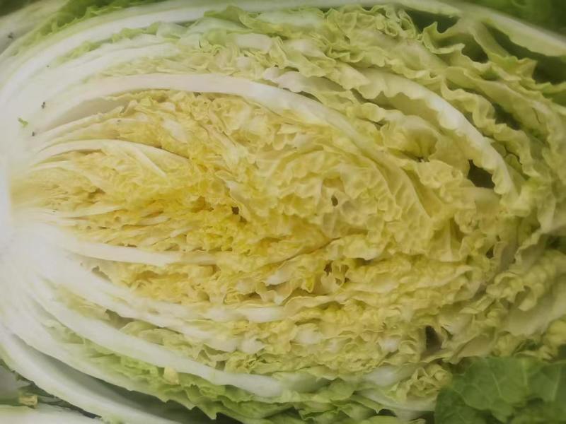 黄心菜