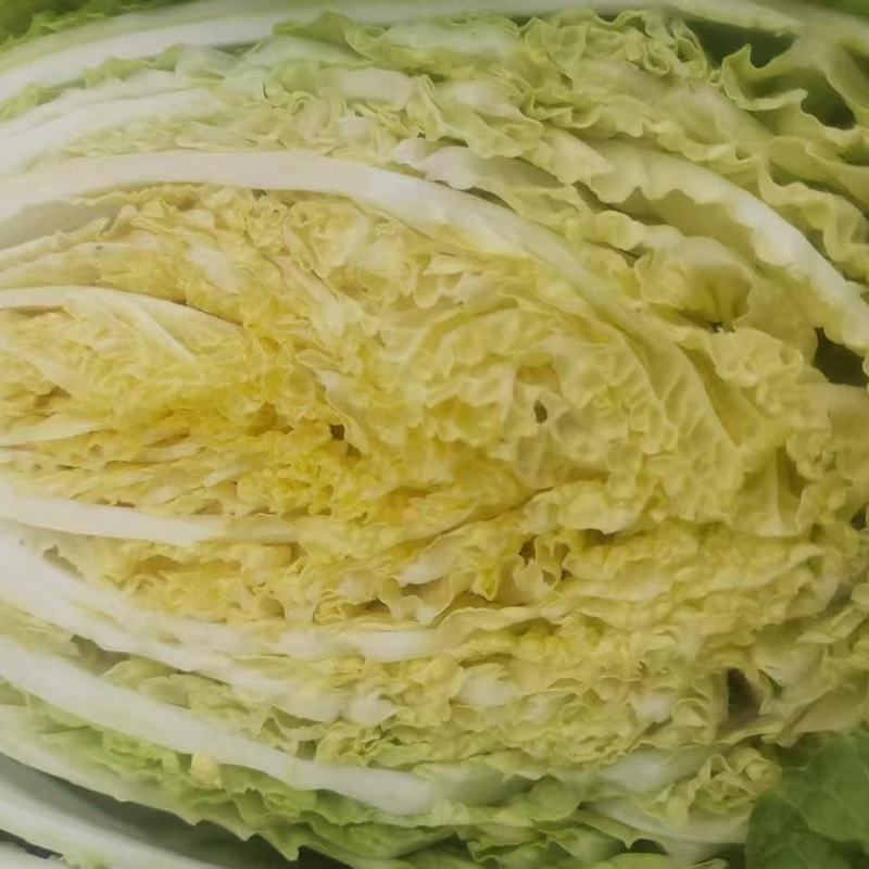 黄心菜