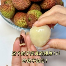 【实力推荐】妃子笑荔枝产地直发品质保障，电商一件代发