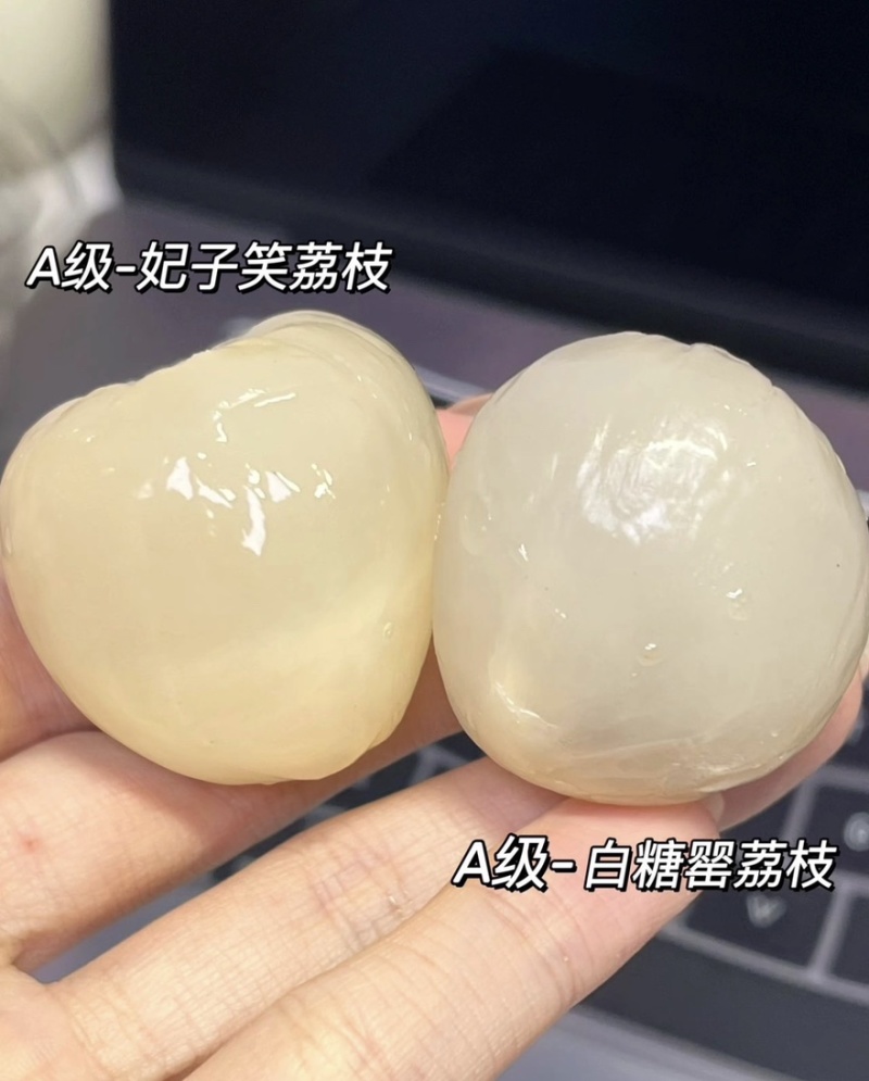 【实力推荐】妃子笑荔枝产地直发品质保障，电商一件代发