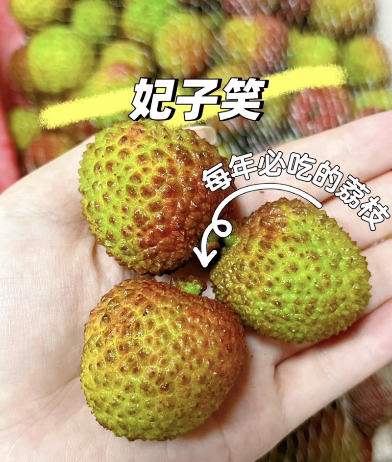 【实力推荐】妃子笑荔枝产地直发品质保障，电商一件代发