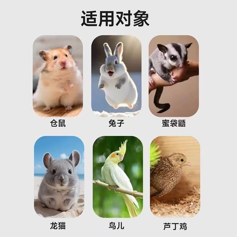 核桃壳厂家直发核桃壳宠物垫料核桃壳滤料核桃壳颗