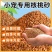 核桃壳厂家直发核桃壳宠物垫料核桃壳滤料核桃壳颗