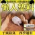 核桃壳厂家直发核桃壳宠物垫料核桃壳滤料核桃壳颗