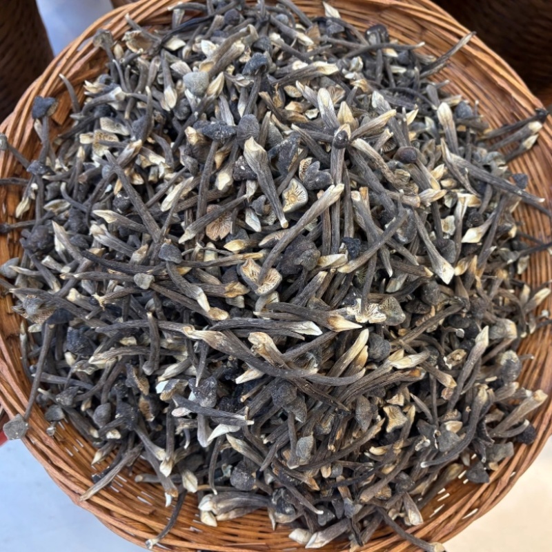 干黑皮鸡枞菌干货产地直供散装大宗批发饭店食堂货源