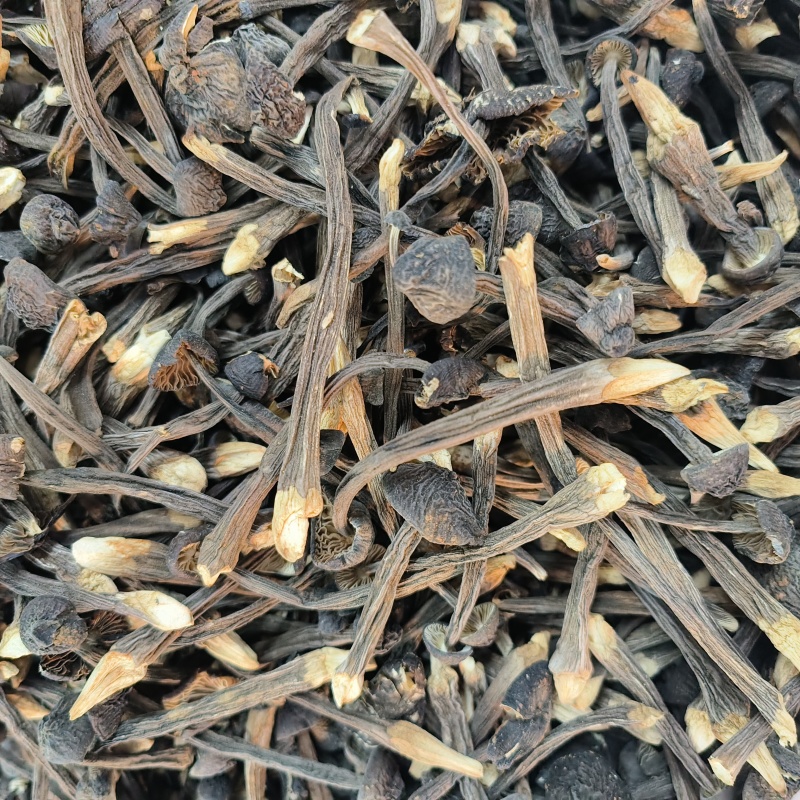 干黑皮鸡枞菌干货产地直供散装大宗批发饭店食堂货源
