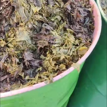 茶叶渣子