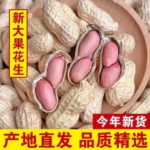 北京花生带壳花生/大花生/花育花生/自然晾晒/全国批发供应