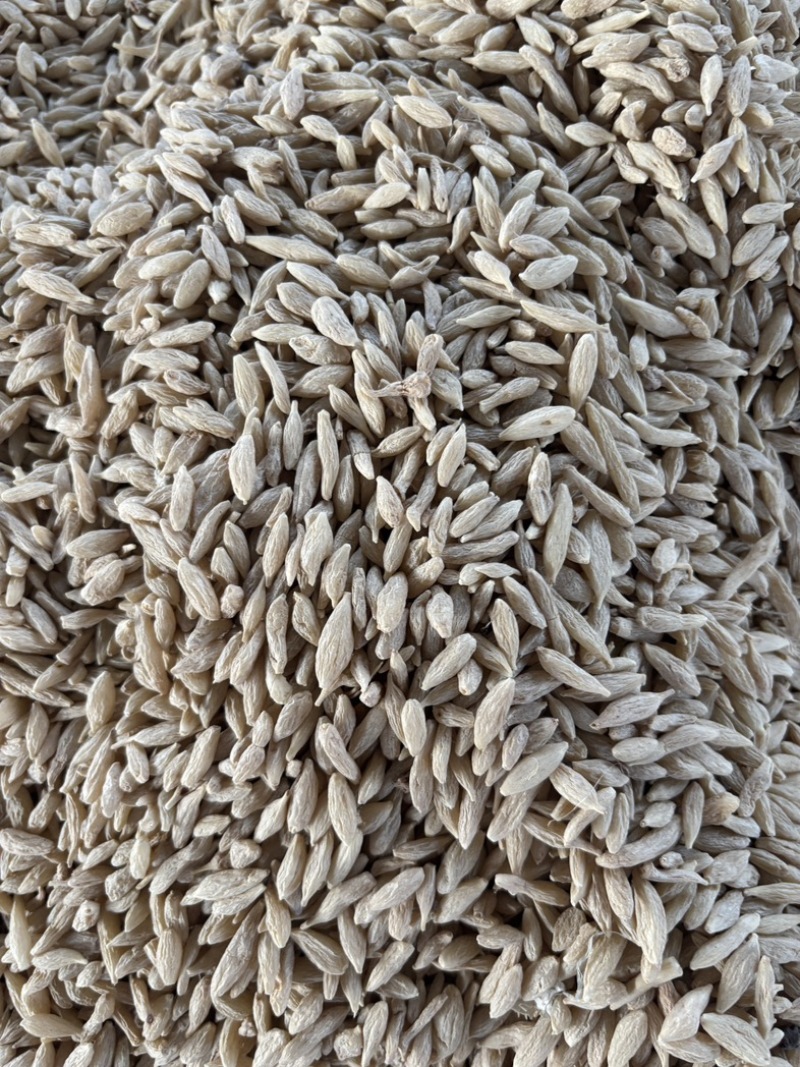 生态麦冬0.06内含量，支持打假，以及各种规格常规大货