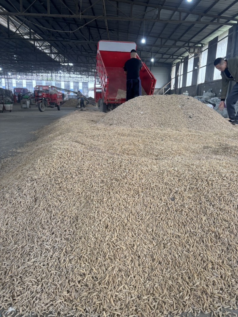 生态麦冬0.06内含量，支持打假，以及各种规格常规大货