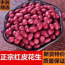 今年新花生米，河北产地直发/价格便宜欢迎来电合作