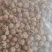 草寇干货调料草寇欢迎选购量大从优