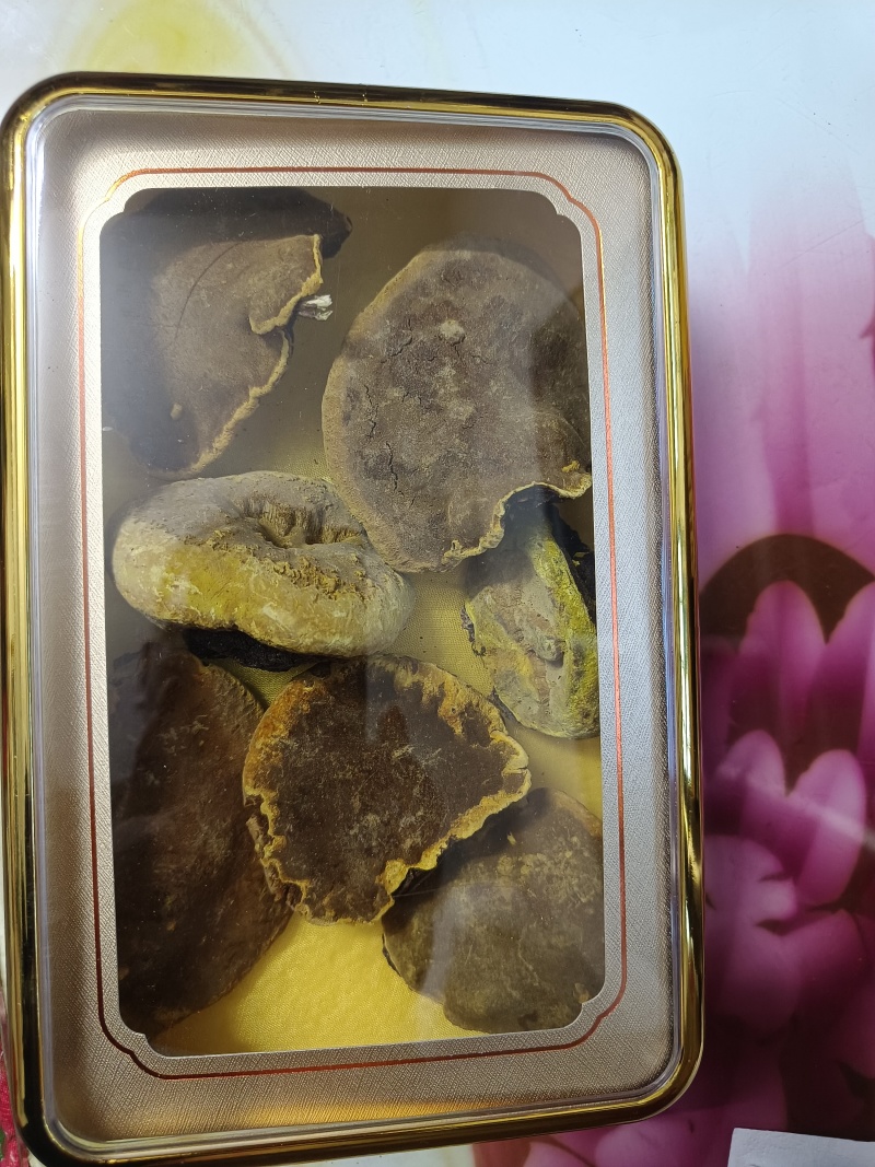 桑树桑黄整块灵芝高海拔地区精品好货，适合各类人群