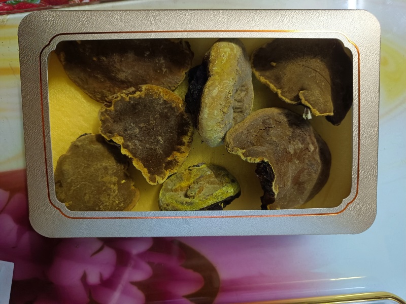 桑树桑黄整块灵芝高海拔地区精品好货，适合各类人群
