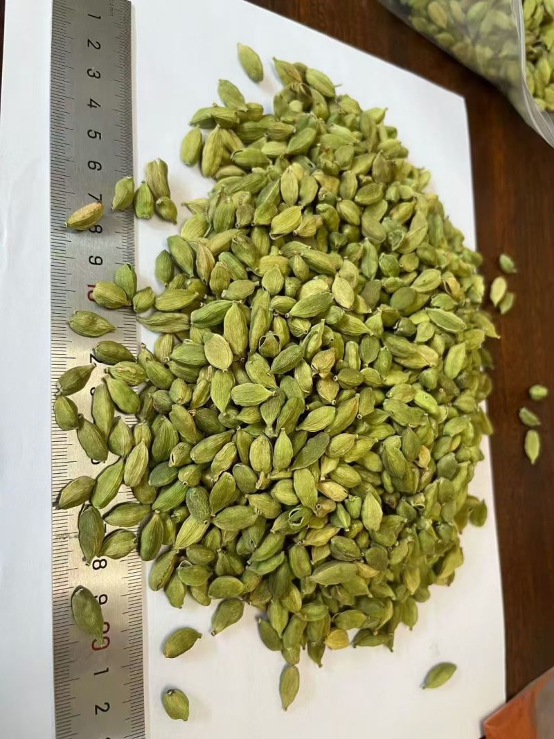 优质绿豆蔻