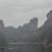 武夷岩茶