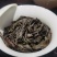 武夷岩茶
