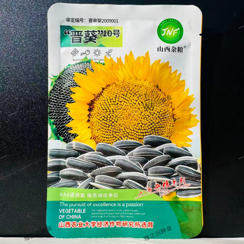 晋葵10号向日葵种子食用葵花种籽高产优质食葵种子耐旱瓜籽